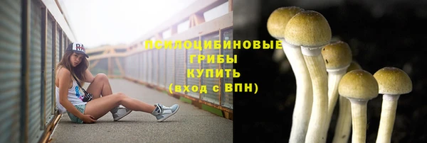 кокс Армянск