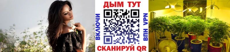 Марихуана план Макарьев